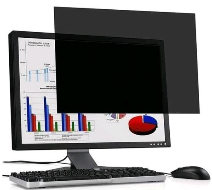 [04102671] Filtre de confidentialité 2D 23.8"