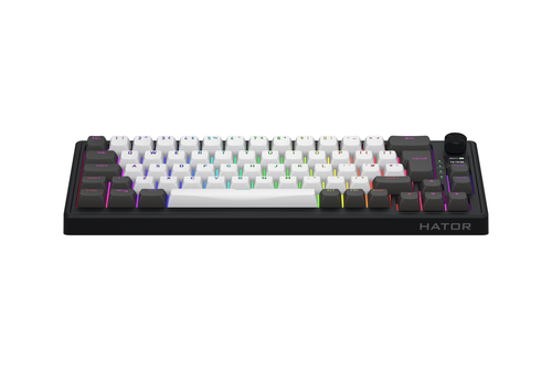 Skyfall 65 Pro Wireless - Gris/Noir