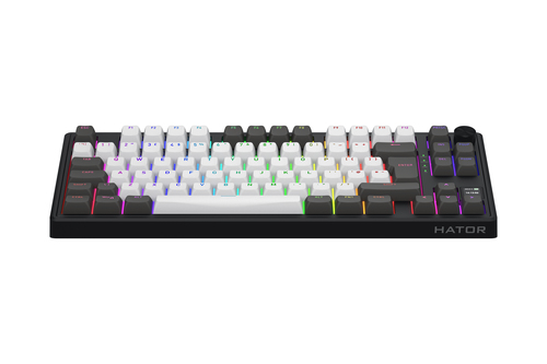 Skyfall 80 Pro Wireless - Gris/Noir