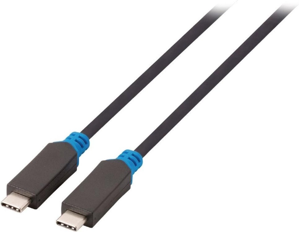 Câble USB-C 3.1 mâle/mâle - 1m - Gris