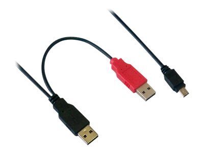 Câble 2xUSB-A mâle (Alim&Data)/Mini B mâle