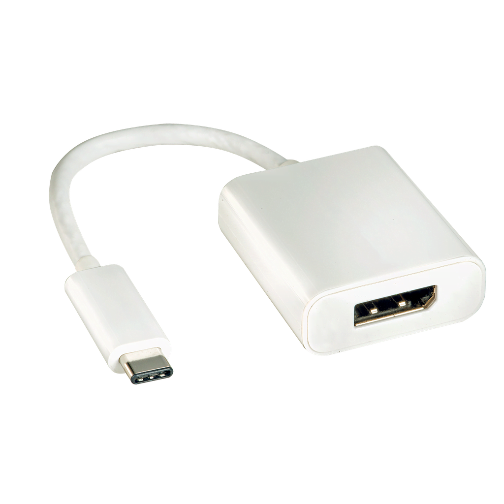 Adaptateur USB3.1 C vers DisplayPort Femelle