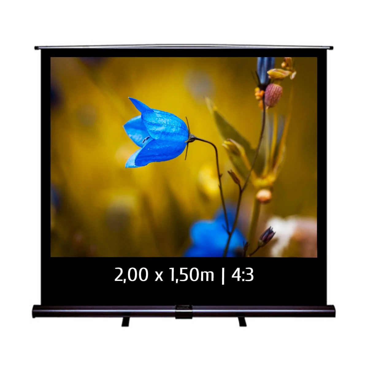 [07601011] Ecran de projection Pull Up 2,00x1,50m 4:3