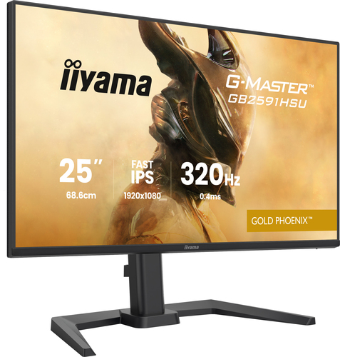24.5" FHD/320Hz/Fast IPS/0.4ms/Pivot/HP/G-Sync