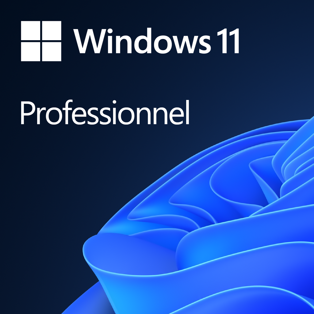 [05300124] Windows 11 PRO 64Bits COEM