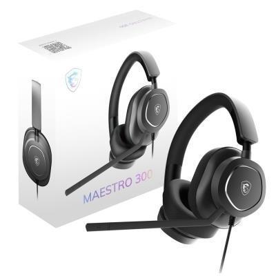 Maestro 300