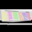 R-TYPE Blanc Sans fil/RGB/Batterie/IPX4/Win et Mac