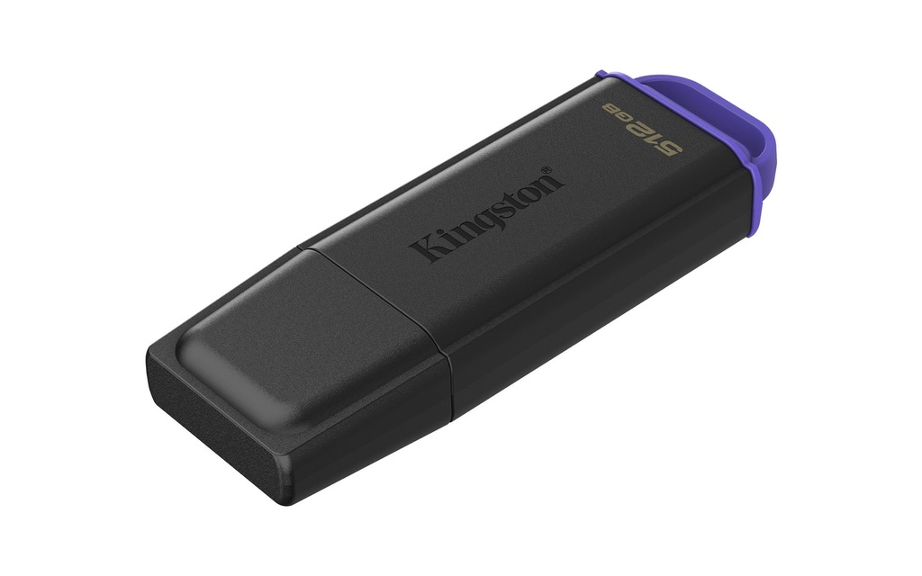DTXG2/512GB - USB 3.2 Gen1 512GB Black/Purple#